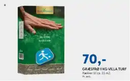 Davidsen GRÆSFRØ 1 KG VILLA TURF tilbud