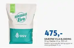 Davidsen GRÆSFRØ VILLA BLANDING tilbud