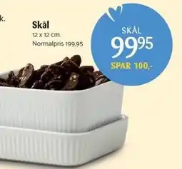 Kop & Kande Skål tilbud