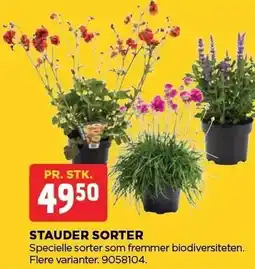 jem & fix STAUDER SORTER tilbud