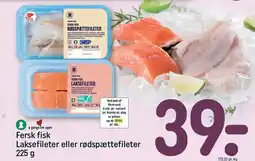 REMA 1000 Fersk fisk Laksefileter eller rødspættefileter tilbud