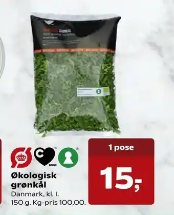 Økologisk grønkål