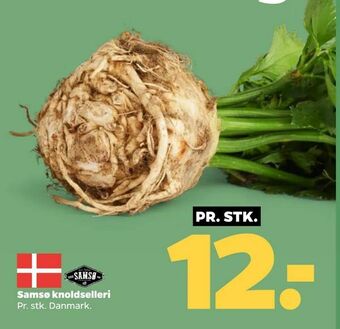 Netto Samsø knoldselleri tilbud