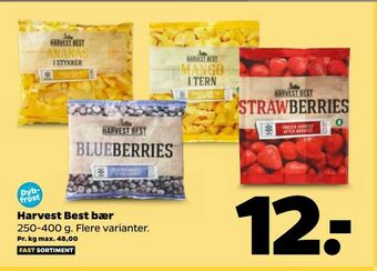 Netto Harvest Best bær tilbud