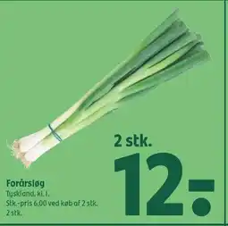 Coop 365 Forårsløg tilbud