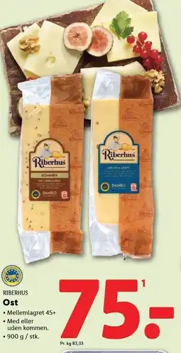 RIBERHUS Ost