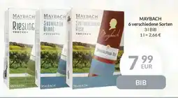 MAYBACH 6 verschiedene Sorten
