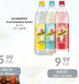 Nielsen's Discount SCHWEPPES 6 verschiedene Sorten tilbud