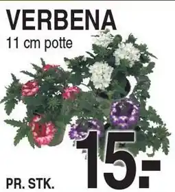 ABC Lavpris VERBENA tilbud