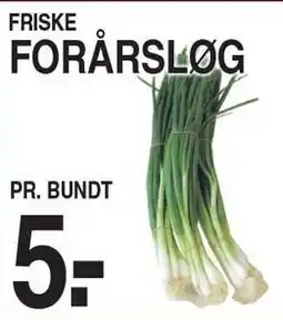 ABC Lavpris Friske forårsløg tilbud