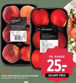 OMHU FERSKNER ELLER NEKTARINER