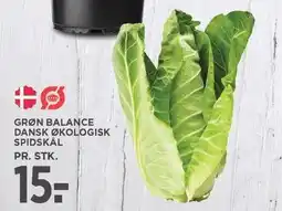 MENY GRØN BALANCE DANSK ØKOLOGISK SPIDSKÅL tilbud