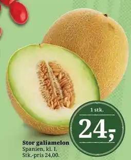 Dagli'Brugsen Stor galiamelon tilbud