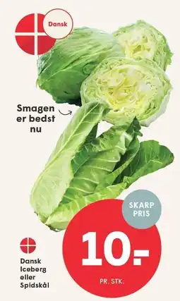 SPAR Dansk Iceberg eller Spidskål tilbud