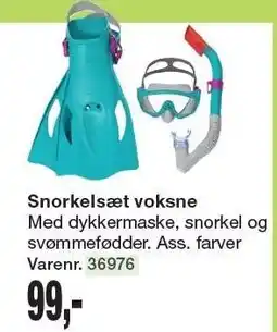 Harald Nyborg Snorkelsæt voksne tilbud