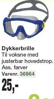 Harald Nyborg Dykkerbrille tilbud