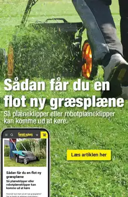 Sådan får du en flot ny græsplæne