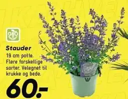 Bilka Stauder tilbud