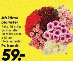 Bilka Afskårne blomster tilbud
