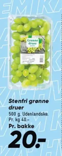 Bilka Stenfri grønne druer tilbud