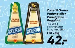 Bilka Zanetti Grana Padano eller Parmigiano Reggiano tilbud