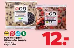Netto ØGO økologiske blåbær eller bærmix tilbud
