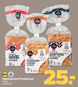 Sigdal glutenfri knækbrød