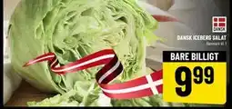 Løvbjerg DANSK ICEBERG SALAT tilbud