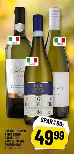 Løvbjerg GALANTE BIANCO, PINOT GRIGIO CASTEL DEL LAGO EL. SASHY CHARDONNAY tilbud