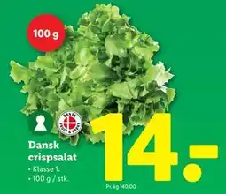 Lidl Dansk crispsalat tilbud