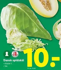 Lidl Dansk spidskål tilbud