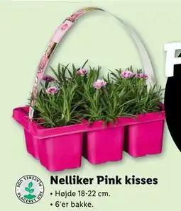 Lidl Nelliker Pink kisses tilbud