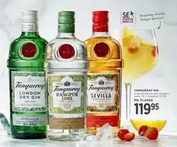 MENY TANQUERAY GIN tilbud