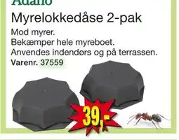 Myrelokkedåse 2-pak