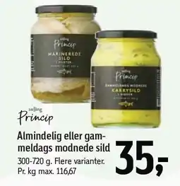 Føtex Salling Princip Almindelig eller gammeldags modnede sild tilbud