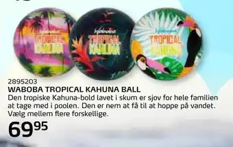 Waboba tropical kahuna ball