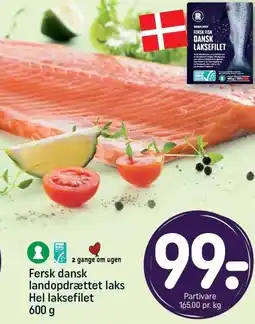 REMA 1000 Fersk dansk landopdrættet laks Hel laksefilet tilbud