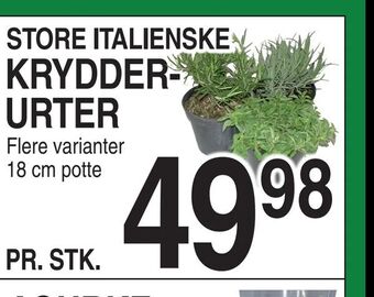 ABC Lavpris Krydderurter tilbud