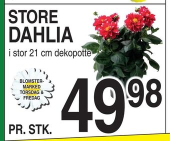 ABC Lavpris Dahlia tilbud