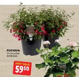 jem & fix FUCHSIA tilbud