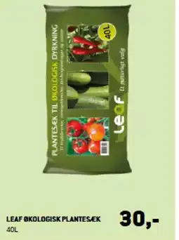 XL-BYG LEAF ØKOLOGISK PLANTESÆK tilbud