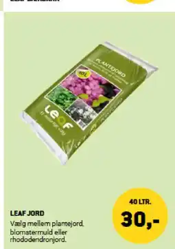 XL-BYG LEAF DEKBARK tilbud