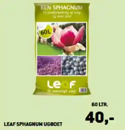 XL-BYG LEAF SPHAGNUM UGØDET tilbud