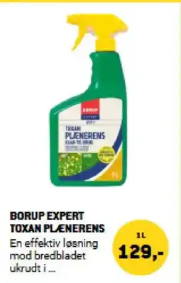 XL-BYG BORUP EXPERT TOXAN PLENERENS tilbud