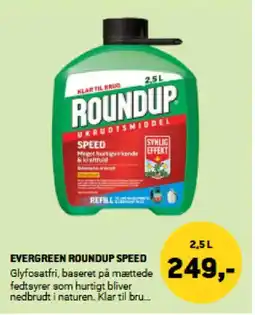 XL-BYG EVERGREEN ROUNDUP SPEED tilbud