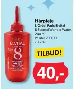 BigDollar L'OREAL Hårpleje tilbud
