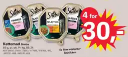 BigDollar SHEBA Kattemad tilbud