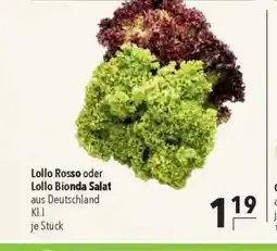 Citti Lollo Rosso oder Lollo Bionda Salat tilbud