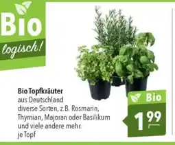 Citti Bio Topfkräuter tilbud