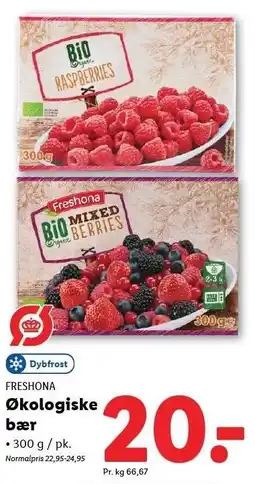 Lidl FRESHONA Økologiske bær tilbud